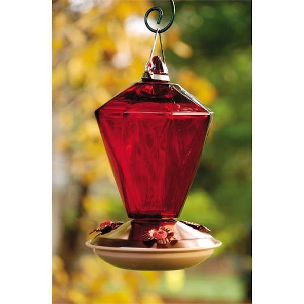Fancy Feline Brushed Copper diamond glass hummingbird feeder FA142311 - main
